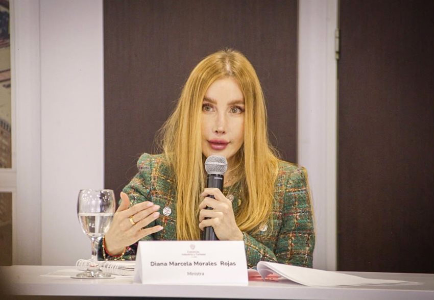 Ministra Diana Morales con industriales de automóviles y buses