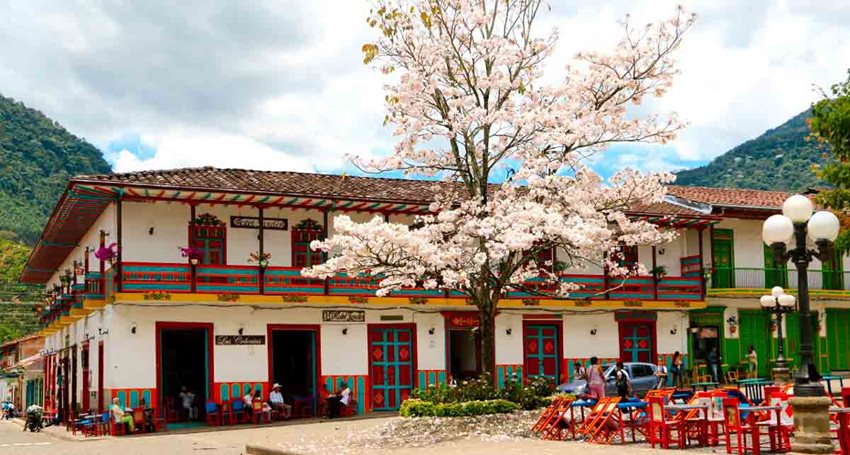 Descripción: Casa tradicional colombiana, de dos pisos, frente al parque principal y un árbol florecido rosado.