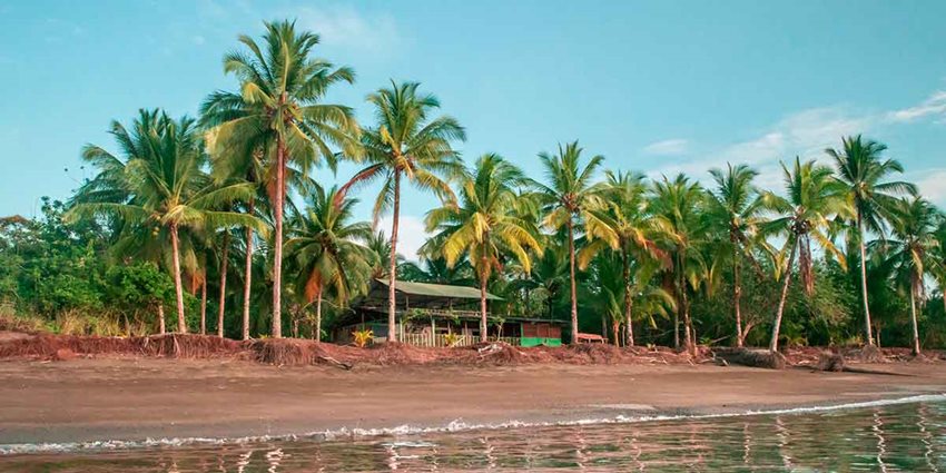 Cabaña en medio de palmeras, al lado de la arena y el mar.