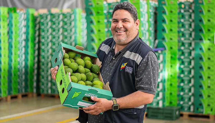 Hombre sosteniendo una caja de aguacates.