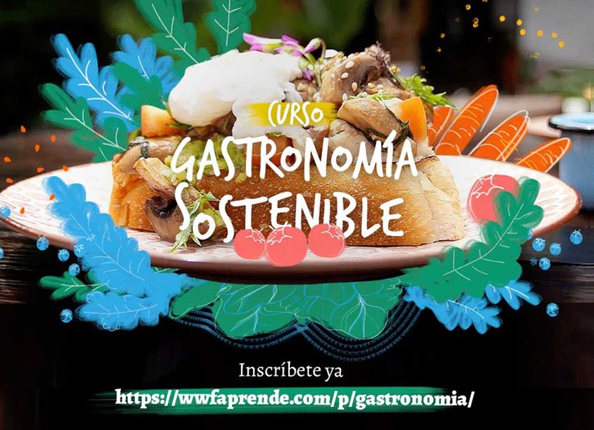 Invitación al curso de gastronomía sostenible, con un fondo de un plato de comida.