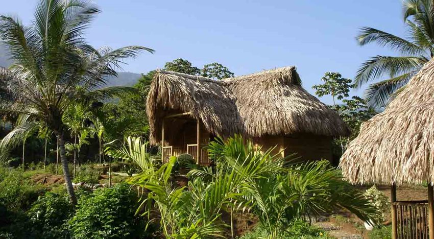Casas en madera con techo de paja, rodeadas de palmeras.