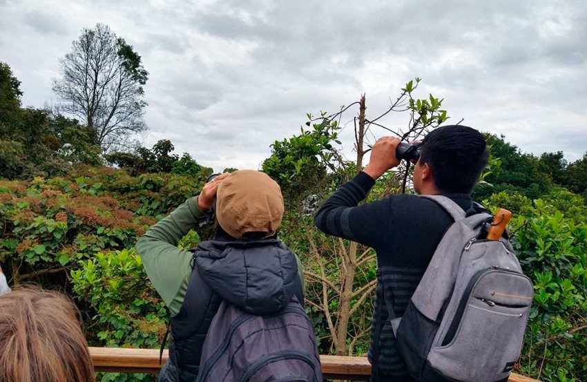 Dos personas observando aves por medio de binoculares.