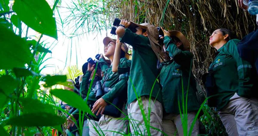 Hombres y mujeres, vestidos con camisetas verdes, observando hacia el cielo con binoculares.