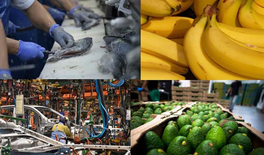 Composición de cuatro imágenes sobre industria: pescados, bananos, automotriz y aguacates.