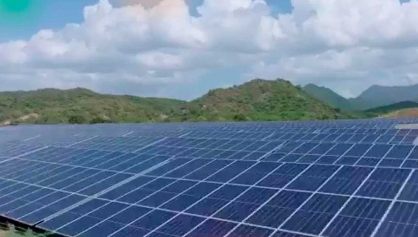 Fotografía de paneles solares y al fondo paisaje de campo.