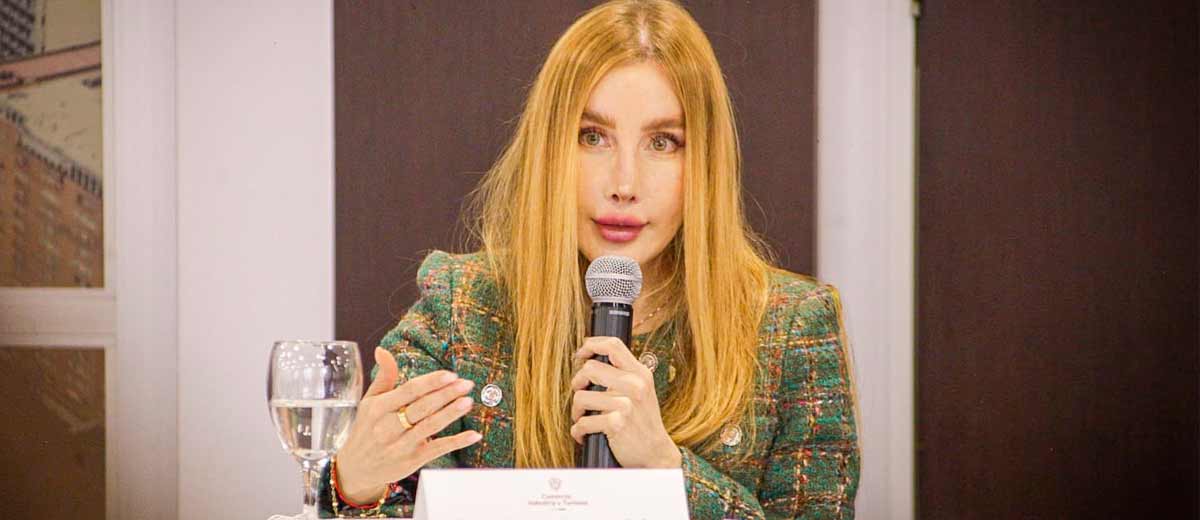 Descripción imagen: Ministra Diana Morales hablando por micrófono desde una mesa.