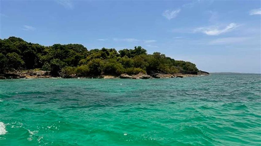 Foto del mar, de día, y al fondo playa y naturaleza.