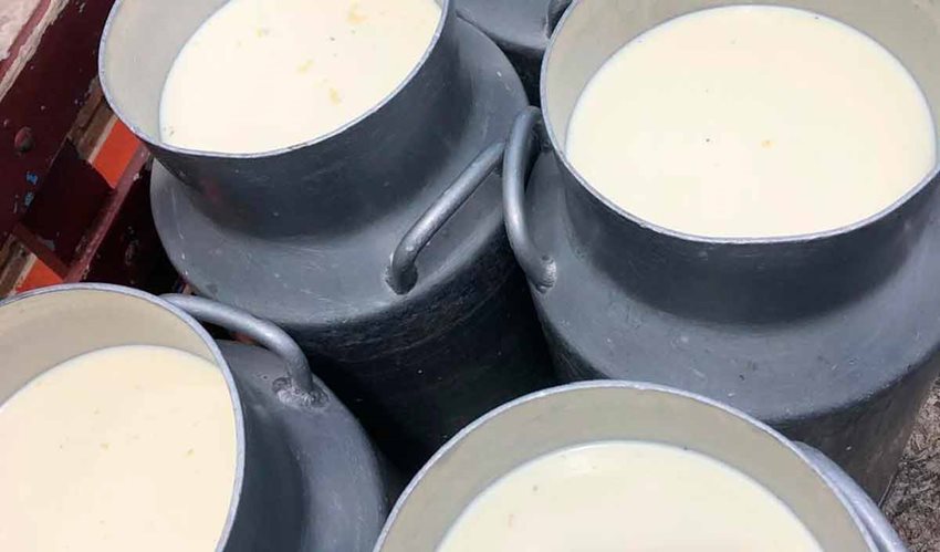 Recipientes grises y grandes, llenos de leche.