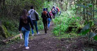 Personas caminando en fila, en medio del bosque.