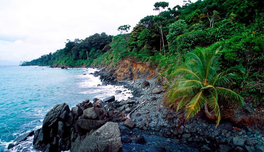 Fotografía de playa rocosa, y árboles y palmeras, a la orilla del mar.