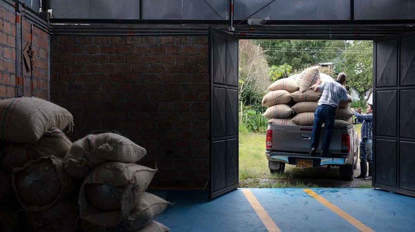 Bodega con bultos de café y al fondo un señor cargando una camioneta con estos bultos.