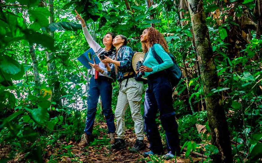 Tres mujeres, en medio del bosque, observando al cielo.