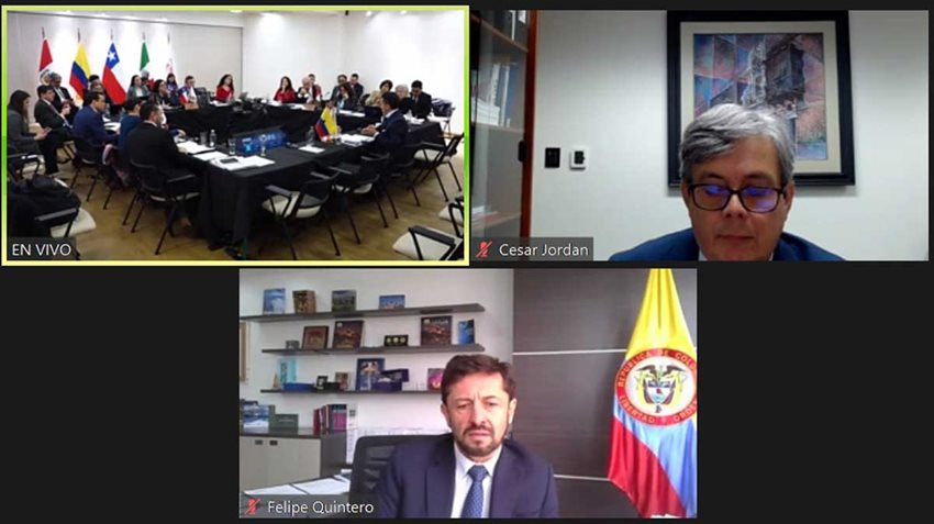 Pantallazo de reunión virtual de los Viceministros de Comercio Exterior y funcionarios de Alianza del Pacífico