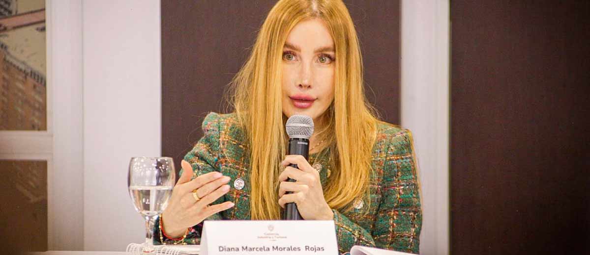 Descripción imagen: Ministra Diana Morales hablando por micrófono desde una mesa.