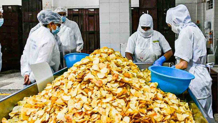 Cinco trabajadores, con trajes de seguridad, en su labor en una planta de producción de papas.