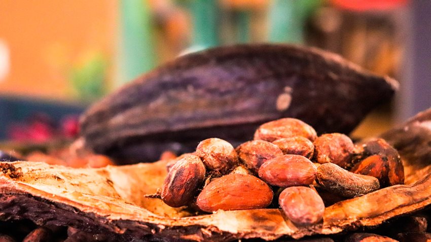 La Estrategia Nacional para la Cadena de Cacao plantea soluciones concretas en las regiones productoras.