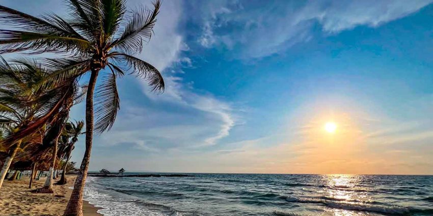 Descripción: Paisaje de playa, mar, palmeras y un atardecer.