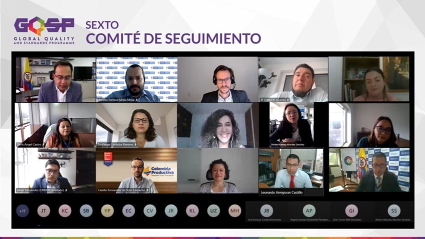 Fotografía de los participantes en el encuentro virtual GQSP: sexto comité de seguimiento.