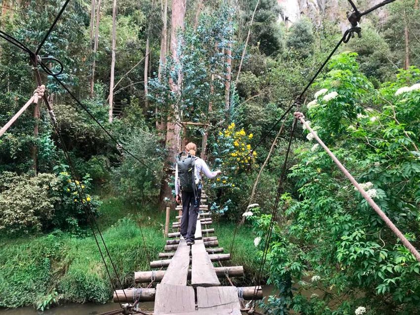 Fotografía de joven haciendo turismo en medio del bosque y atravesando un puente de madera.