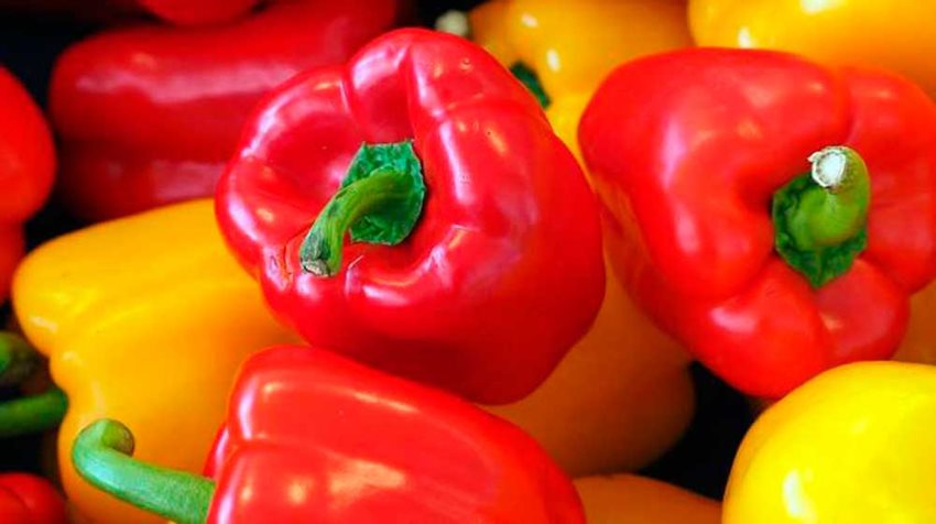 Foto de pimentones rojos y amarillos.
