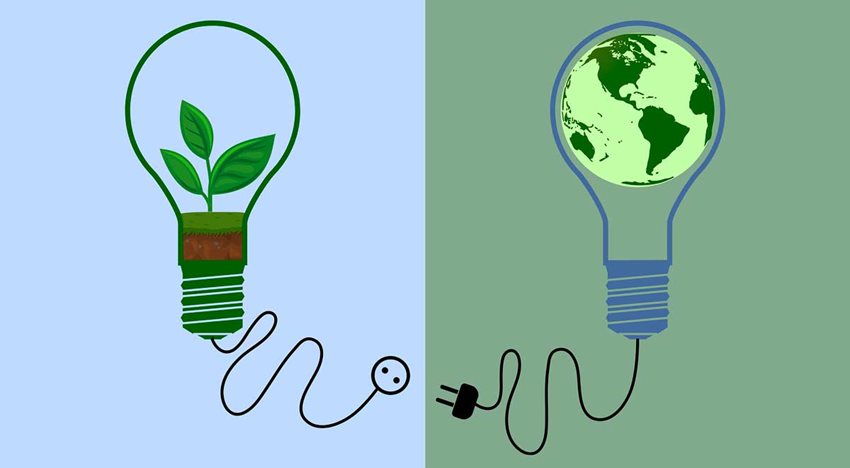 Dos bombillos: el de la izquierda con planta dentro y el de la derecha con el planeta.