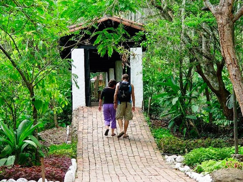 El arribo de viajeros por vuelos internacionales regulares, en lo corrido del año, se incrementó en 5,6 %.