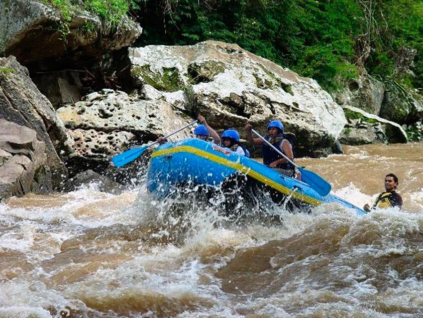  Se promoverán alianzas interinstitucionales e intrarregionales en Colombia y en Latinoamérica. 