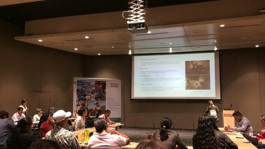 Durante el evento, los asistentes participan en talleres de uso creativo.