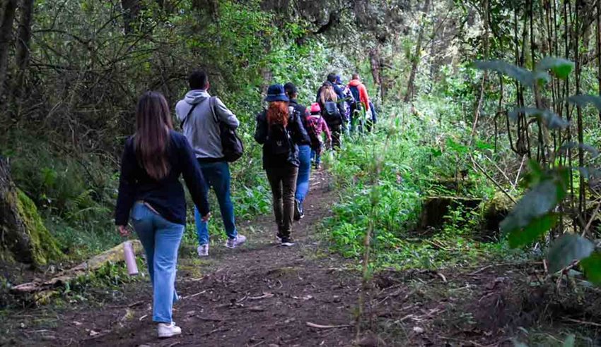 Varias personas caminando en medio del campo.