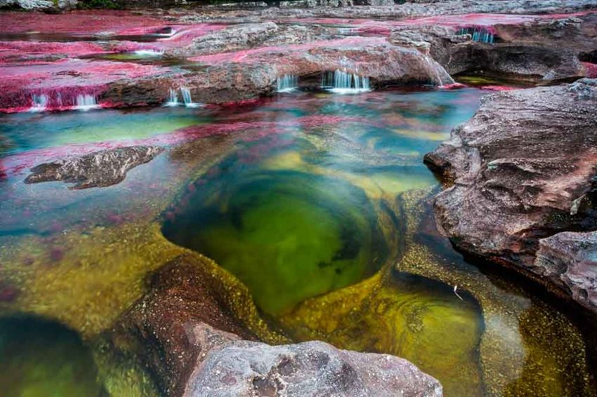 Hoy Caño Cristales reabre sus puertas al mundo.