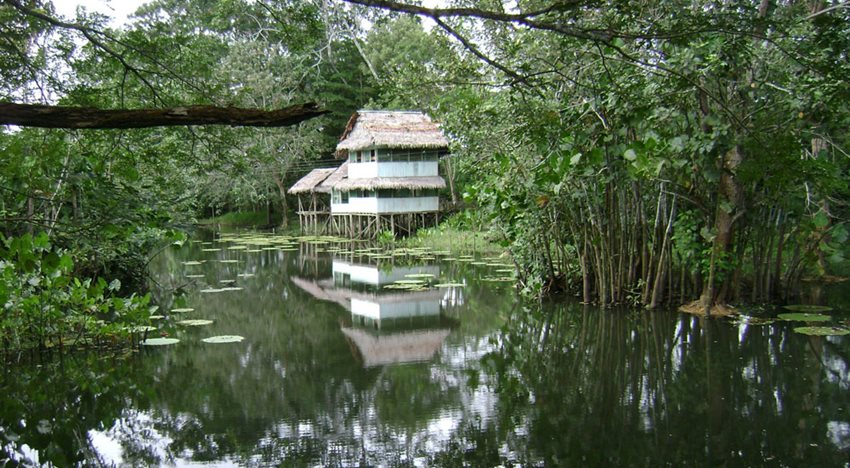 Foto: Silencio. Ruth Yanira Avellaneda Avellaneda. Leticia, Amazonas.