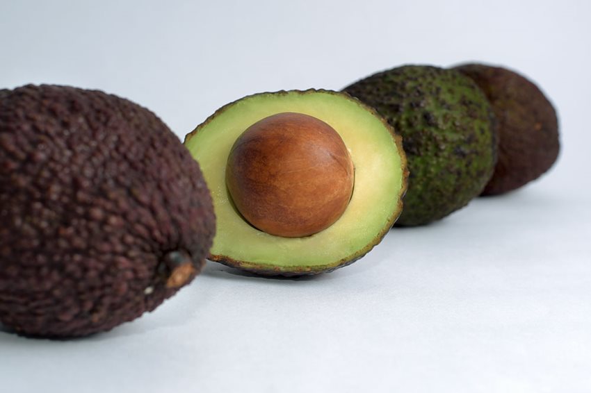 Los principales destinos de exportación de este producto son europeos, indicador encabezado por Países Bajos.