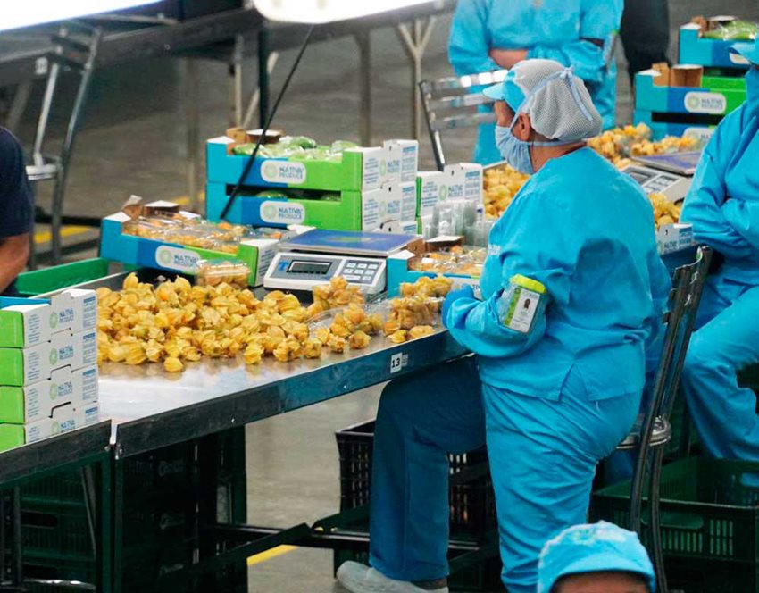 Nuevas medidas para jalonar reactivación del tejido empresarial del país.