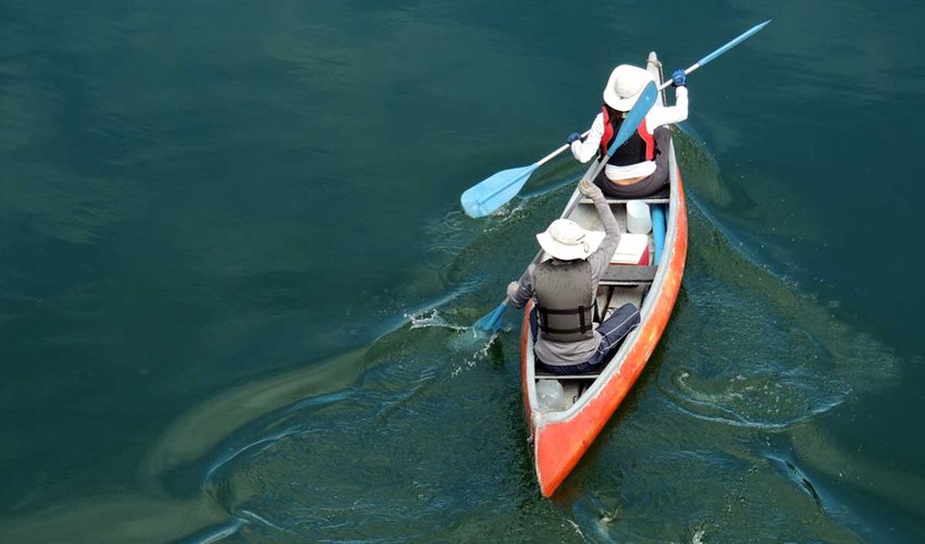 Dos personas en un bote remando en medio de un lago.