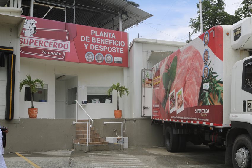 Angola, mercado a donde Colombia hace su primera exportación de carne de cerdo.