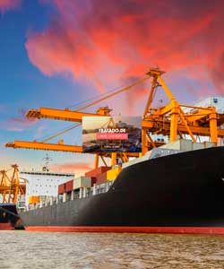 Visita el sitio de Tratado de Libre Comercio (TLC)