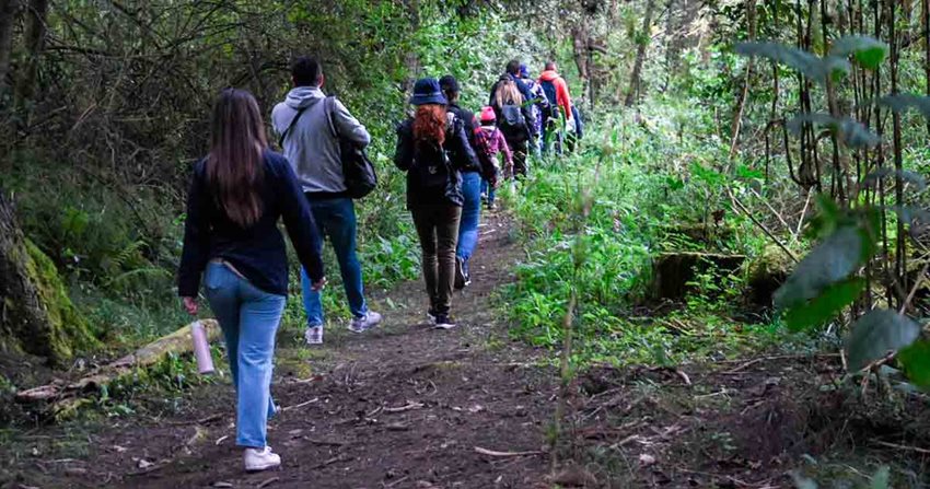 Personas caminando en fila, en medio del bosque.