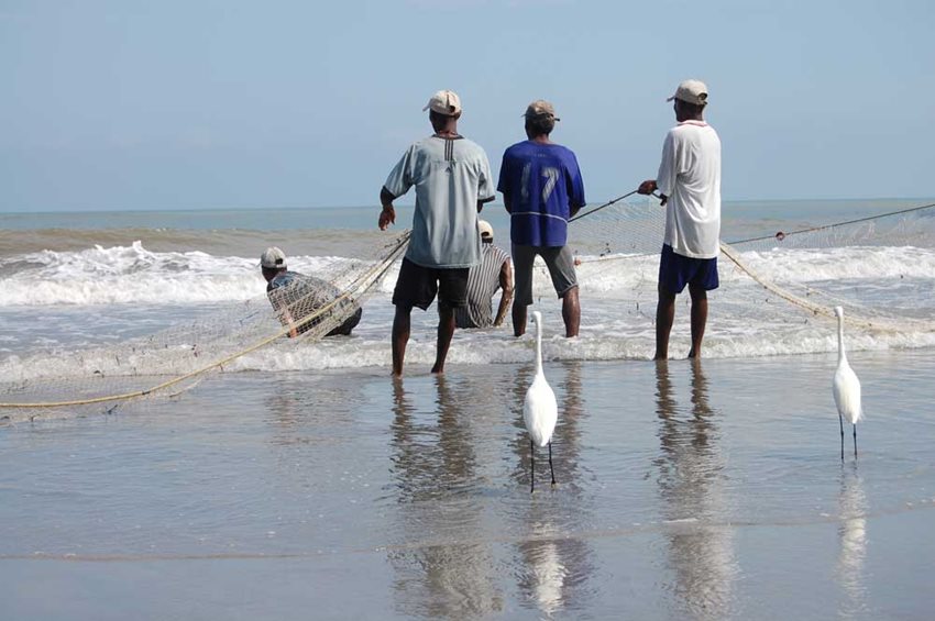 Las 177 acciones que reportaron 26 entidades sumaron 97 trámites, 40 barreras y 40 normas de alto impacto.