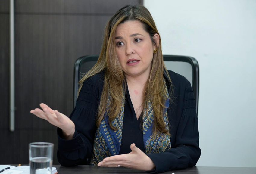 La Viceministra reiteró que lo primero para el Gobierno ha sido resguardar la salud y la vida.