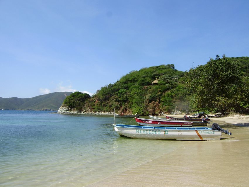 Una de las grandes conclusiones es que la innovación y la sostenibilidad deben ser la ‘nueva normalidad’.