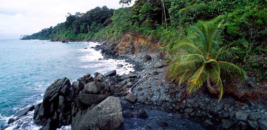 Descripción de la imagen: Fotografía de paisaje con vegetación, rocas y mar.