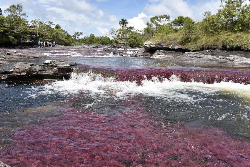 La distinción comprende el área turística de La Macarena, con el Parque de Los Fundadores y Caño Cristales.