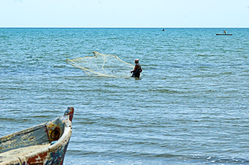 La medida adoptada por esa oficina será revisada anualmente y estará vigente por cinco años.