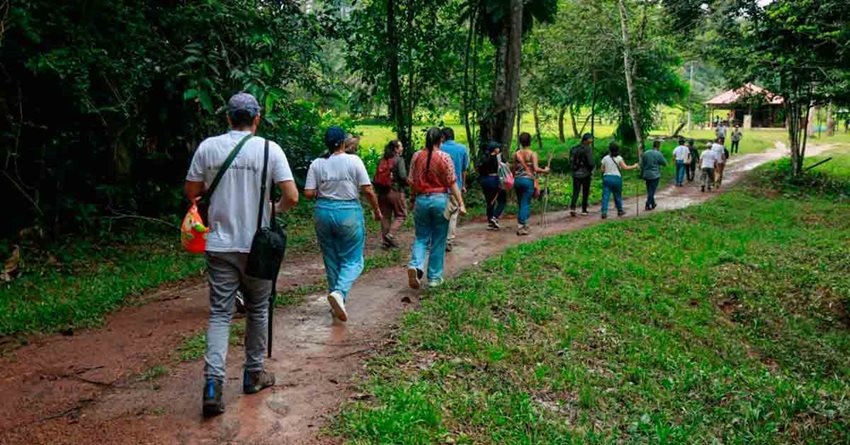 Personas caminando por el campo.