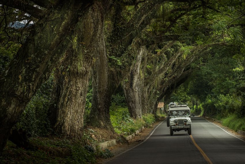 Foto: Ecología y tradición. Doney de Jesúus Cardona López. Vía principal al municipio de Córdoba, Quindío.