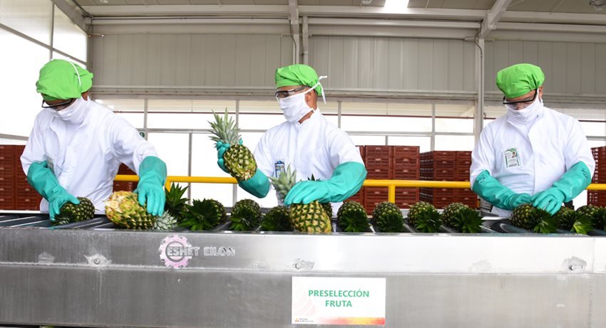 En 2019 hubo un crecimiento en la producción real de la industria de 1,5 %.