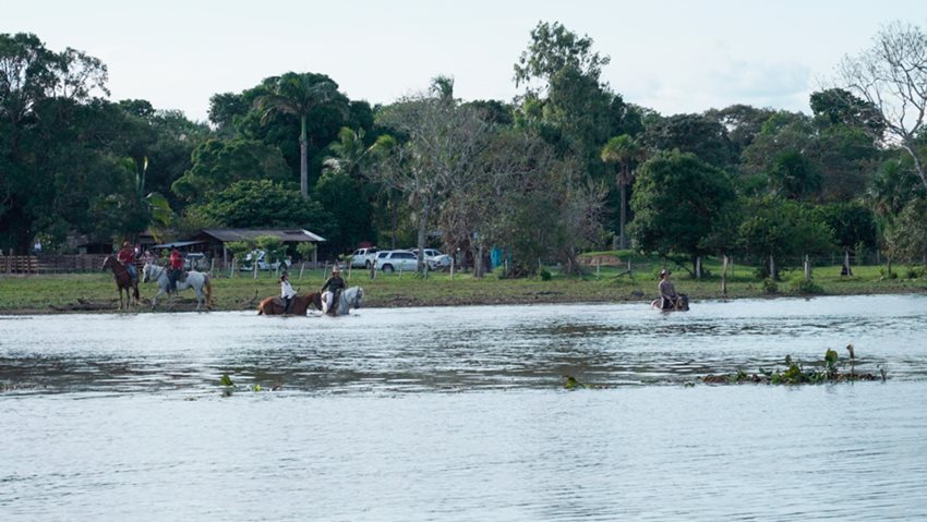  El diseño de la experiencia se lleva a cabo teniendo en cuenta el comportamiento del mercado internacional.