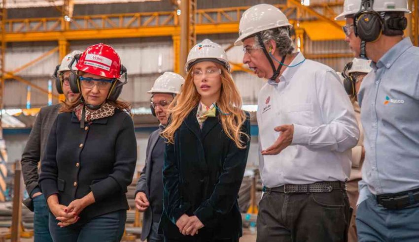 Ministra Diana Morales, con elementos de seguridad, haciendo recorrido por planta, junto con más personas.