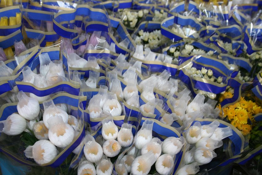 Colombia es el principal proveedor de Estados Unidos de claveles, crisantemos, rosas, entre otras.